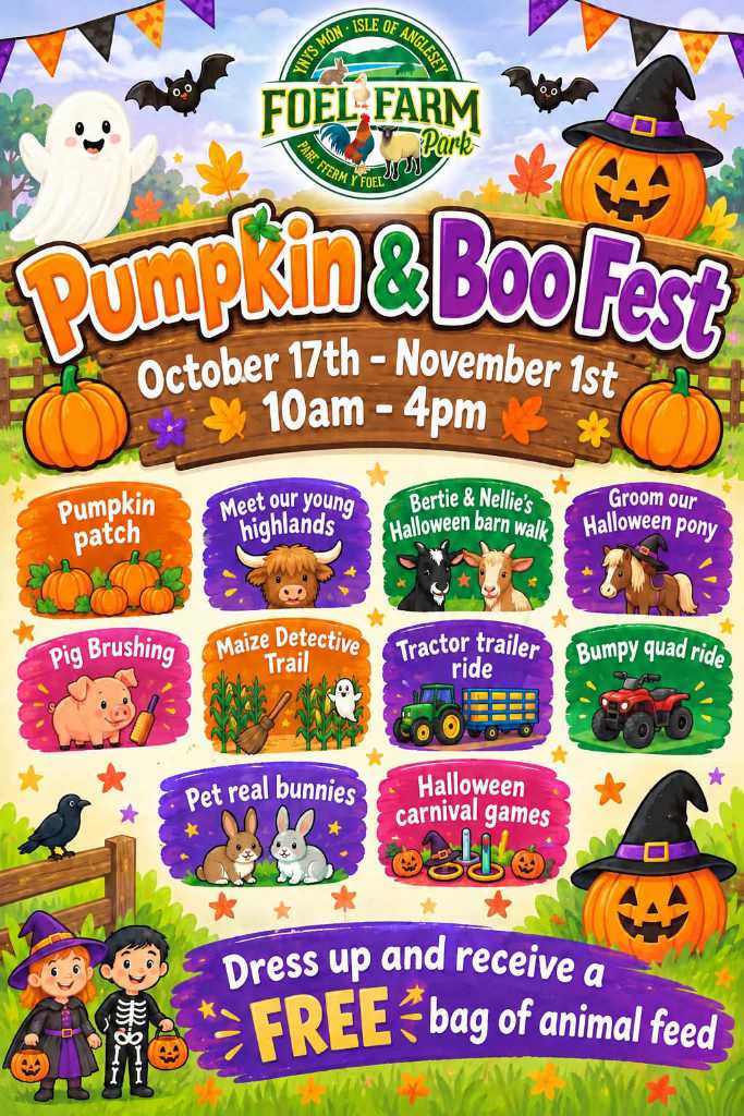 Pumpkin & Boo Fest halloween activities 2026 Pumpkin & Boo Fest halloween activities 2026